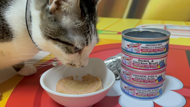 女人知己試用大隊,口碑行銷,部落客行銷,PURRFACT 波菲特貓用主食罐,主食罐,PURRFACT波菲特,貓主食罐,貓罐,PURRFACT波菲特貓用主食罐,魚肉蔓越莓主食罐,鮮嫩雞主食罐,鹿肉雞肉主食罐,牛肉鵪鶉貓主食罐,干貝蠶蛹配方,鱷魚肉白木耳配方,雞肉魚肉配方,安心鶉配方,評價,體驗,適口性佳,心得,成貓適用,高齡貓適用,質地是慕絲狀